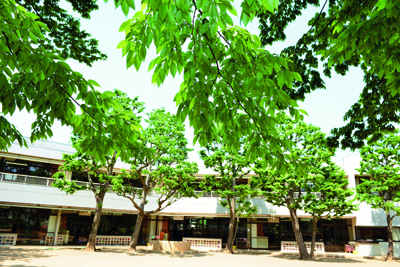 晴山幼稚園見学会
