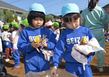 芋ほり・焼き芋