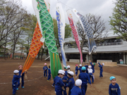 koi1.jpg