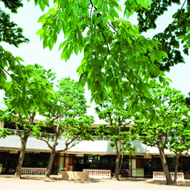 令和7年度　晴山幼稚園見学会の予約受付中！
